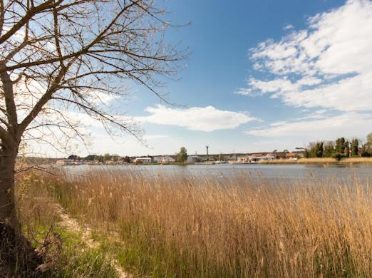 Alexis Apartament Dziwnów Esterno foto